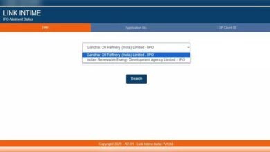 link intime ipo allotment status
