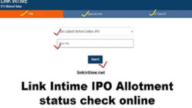 Link Intime IPO Allotment Status Check Online