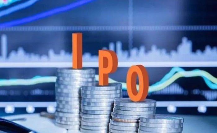 ipo allotment status link intime