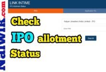 link intime ipo status check