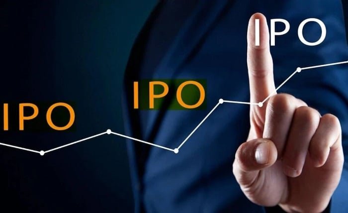 link intime india ipo allotment status